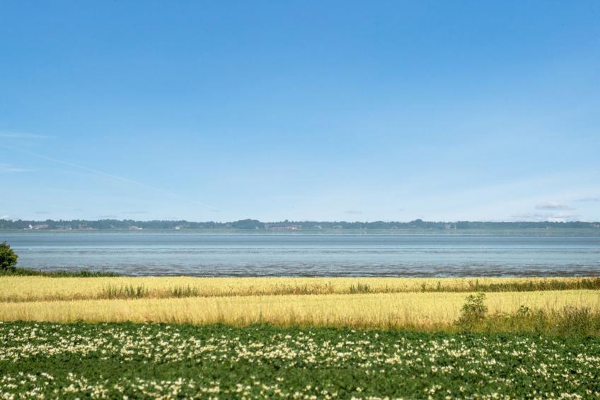 "Ejna" in Western Jutland - foto 34