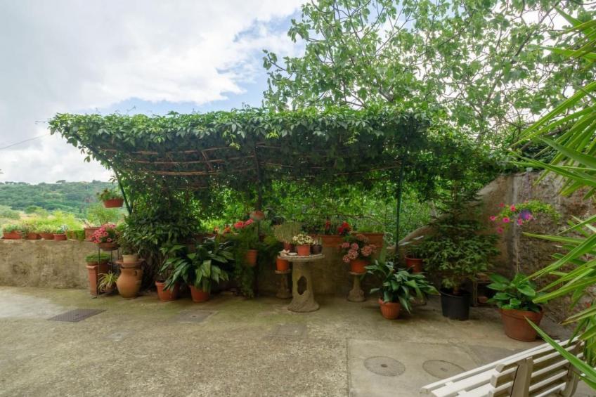 Rosa in der Toskana - foto 6