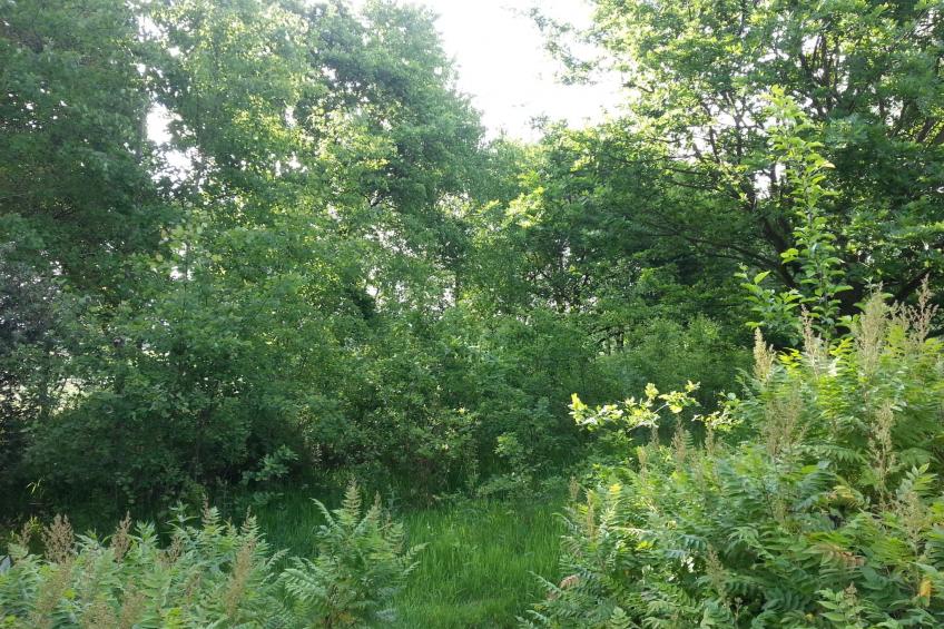 Wohnstudio für maximal vier Personen - foto 21