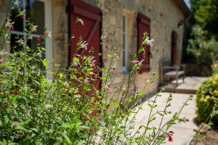 Domaine Saint Martin le Redon - foto 2