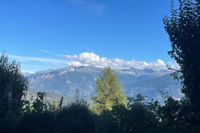 Tiny House facing the Alps - Ski in and out - foto 24