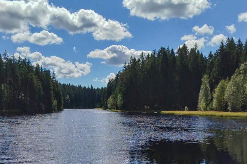 Am Sonnenblick - foto 21