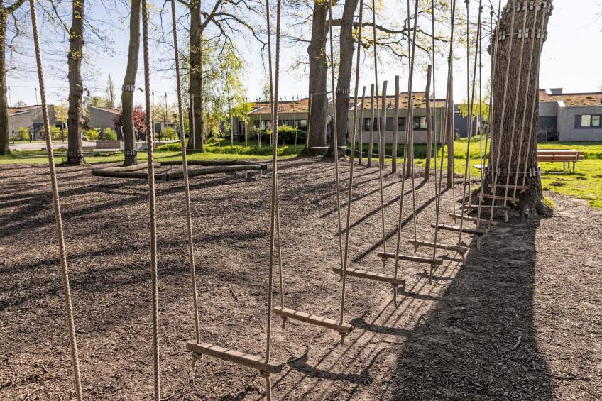 Krosse Krabbe 763 (Seenähe) - foto 39