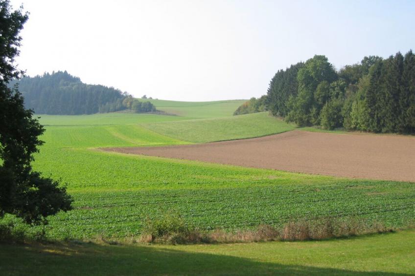 16799 - foto 22