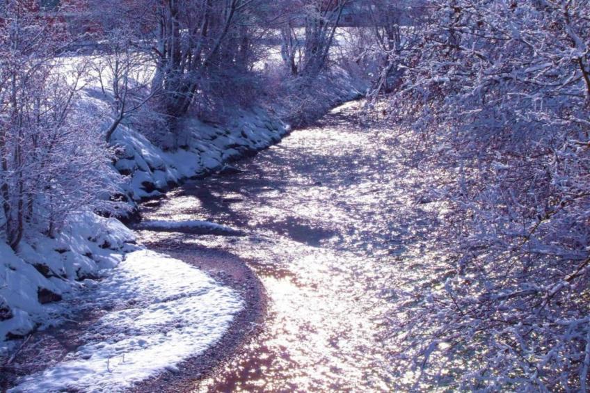 Apartment 19 - foto 21