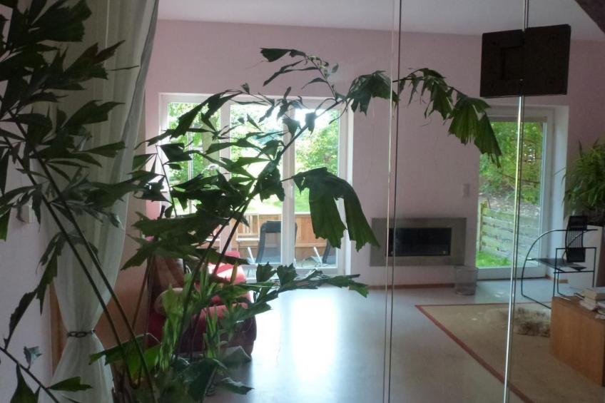 hist. Schafscheune - foto 29