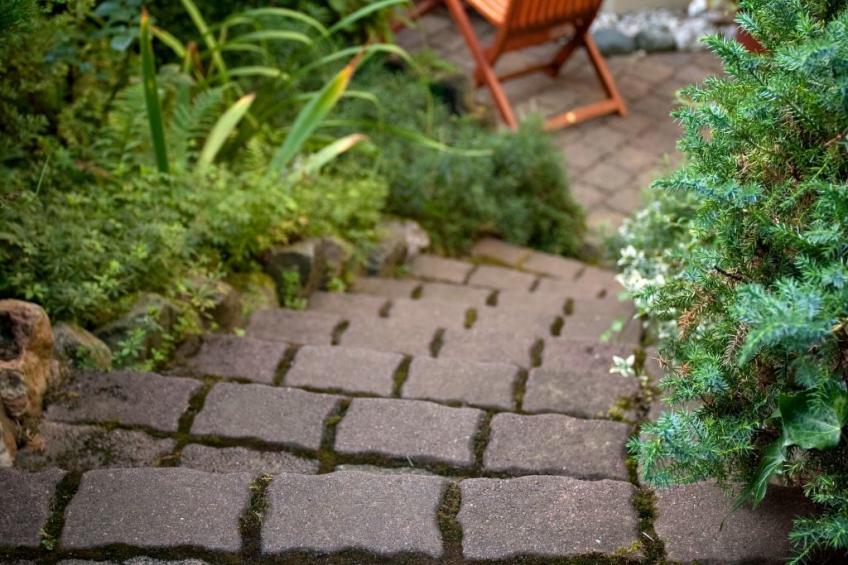 Fewo Ginkgo - foto 15