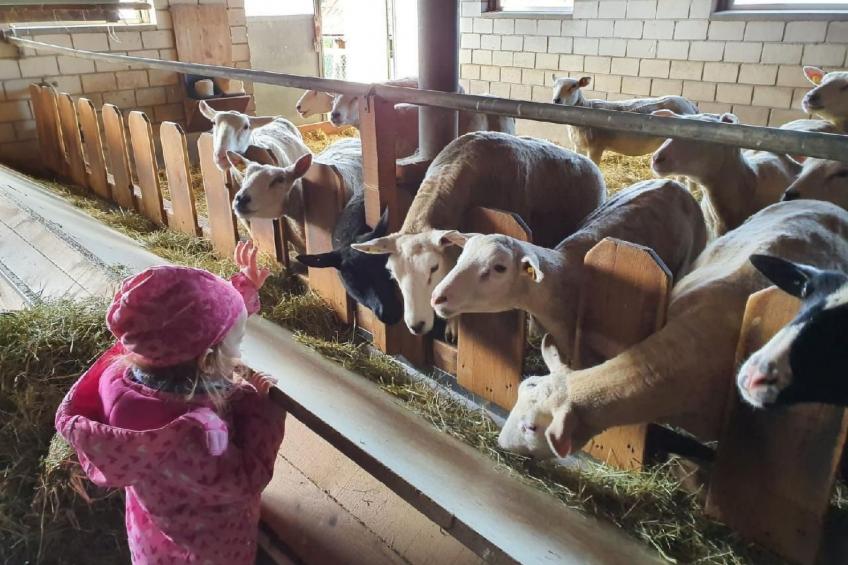 Ober-Tiefenbühl - foto 26