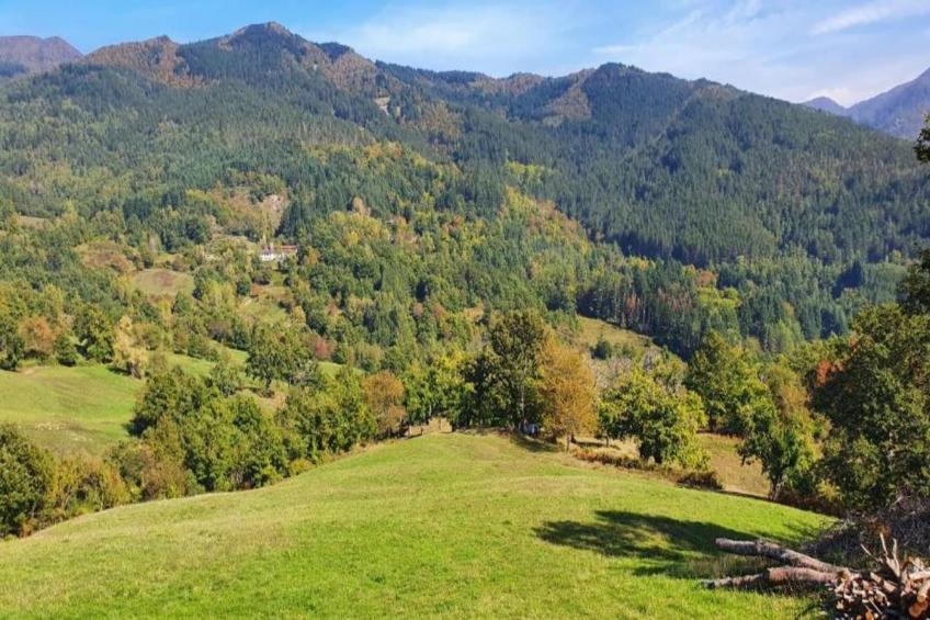 Le Chalet Nordmann - foto 37