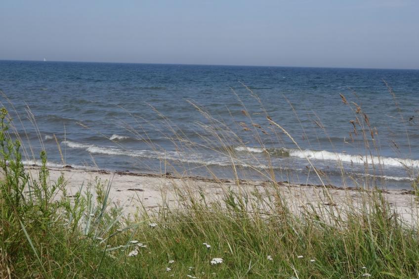 Geltinger Bucht - foto 23