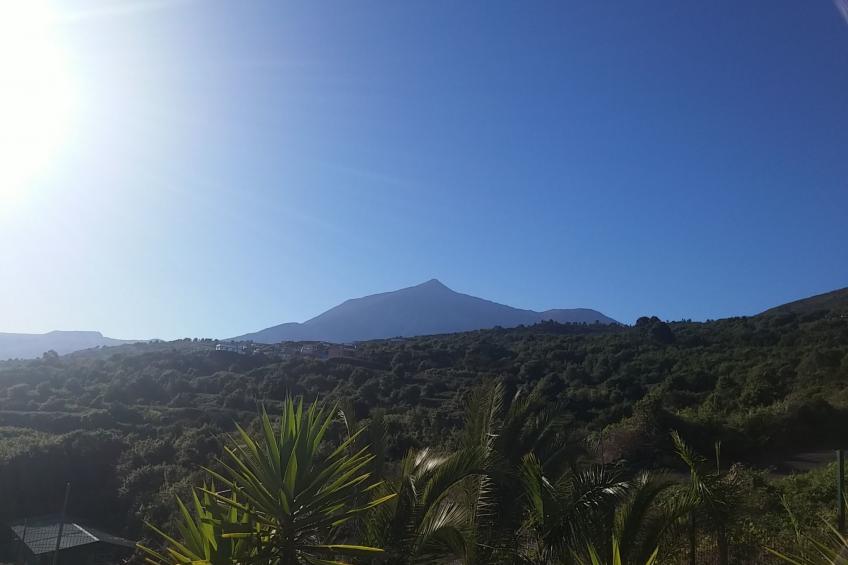 Ecolodge Tenerife 3  bedroom c - foto 9
