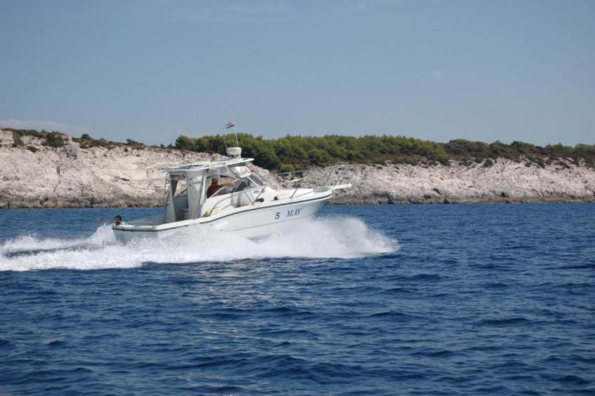 Gorgonia S2 - foto 27