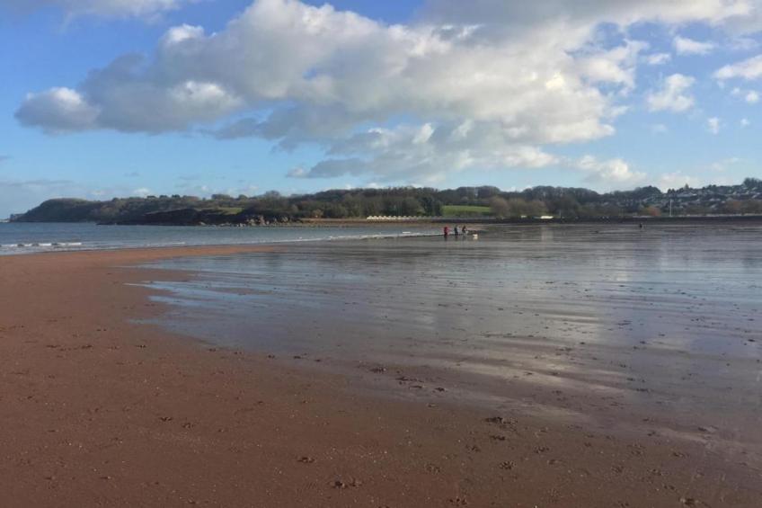 Little Dunley - Oaktree Cottage - foto 31