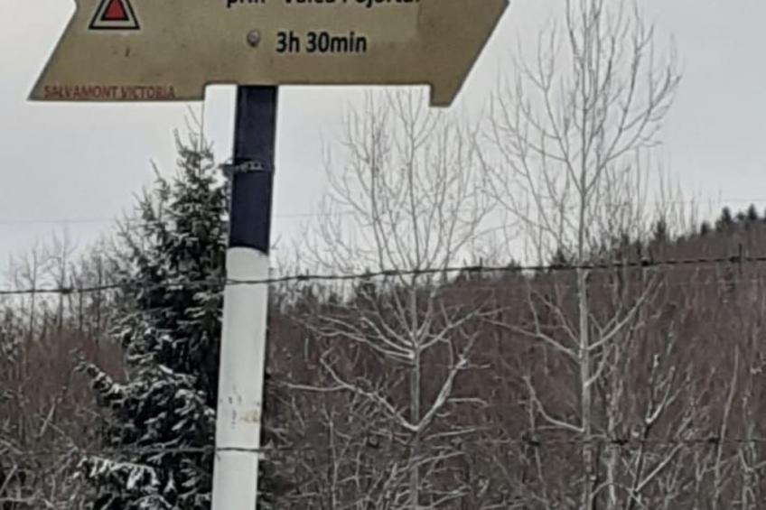 Vila Roberta Breaza Brasov - foto 30