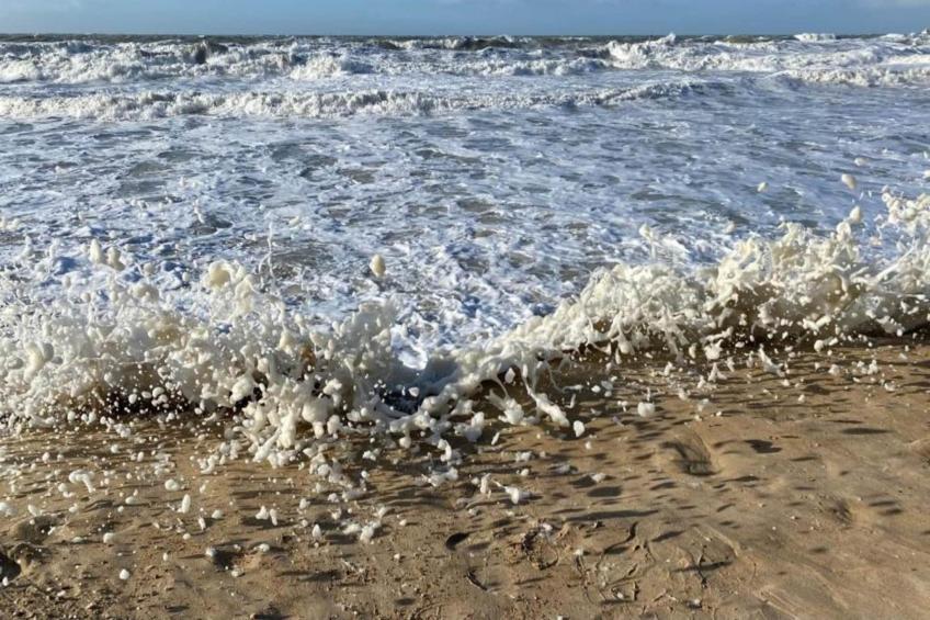 Chateau du Centre IV - foto 31