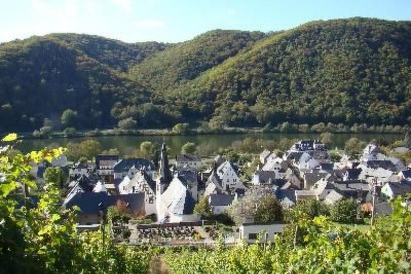 Altes Winzerhaus in Mesenich - foto 14