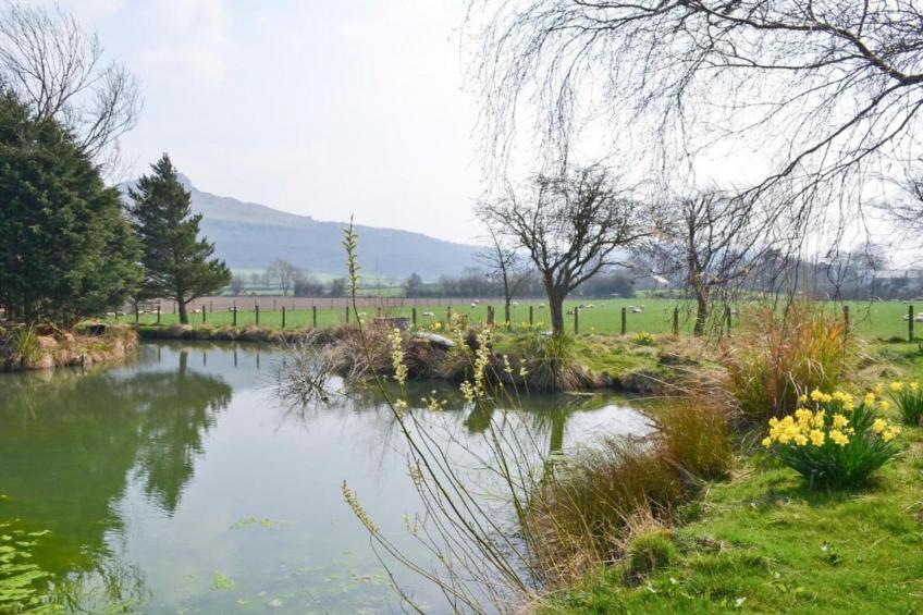 Ingleby Manor - Manor Cottage - foto 29