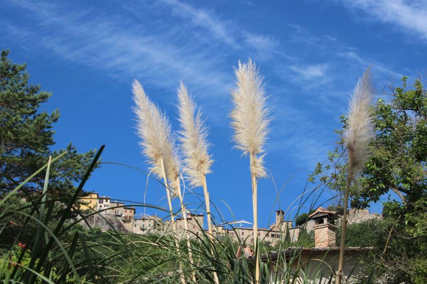 Ariete - foto 9