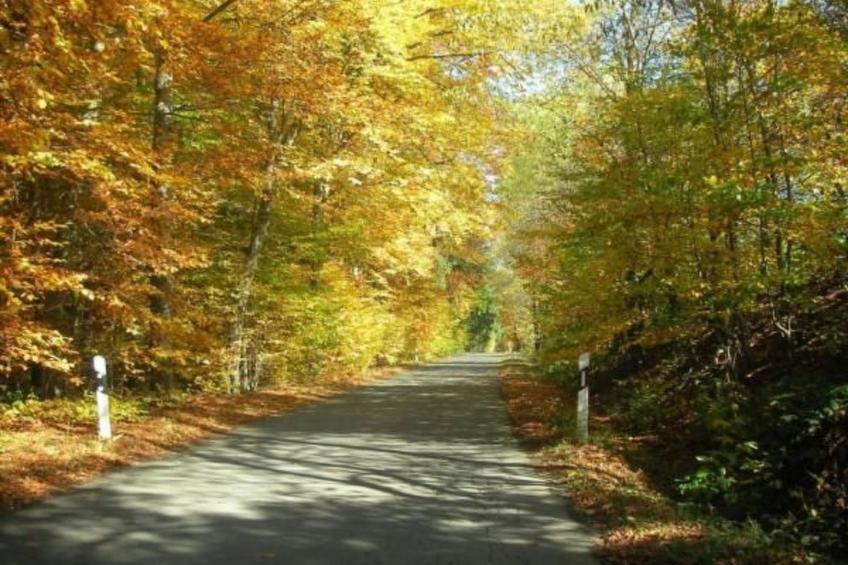 Haus" Walter" - foto 12