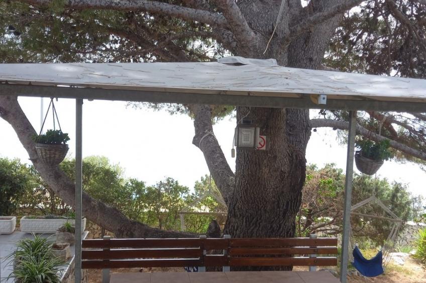 in Maslinica mit Großer Terrasse - foto 31