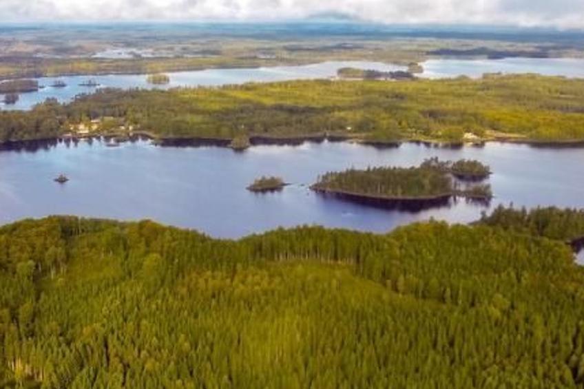 Möckeln ausserhalb Älmhult - foto 10