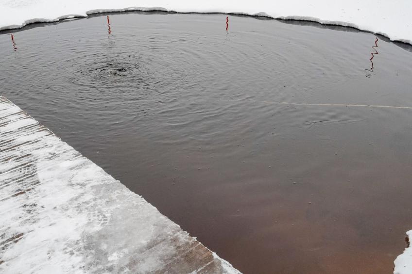 Lepovalkeinen - foto 27