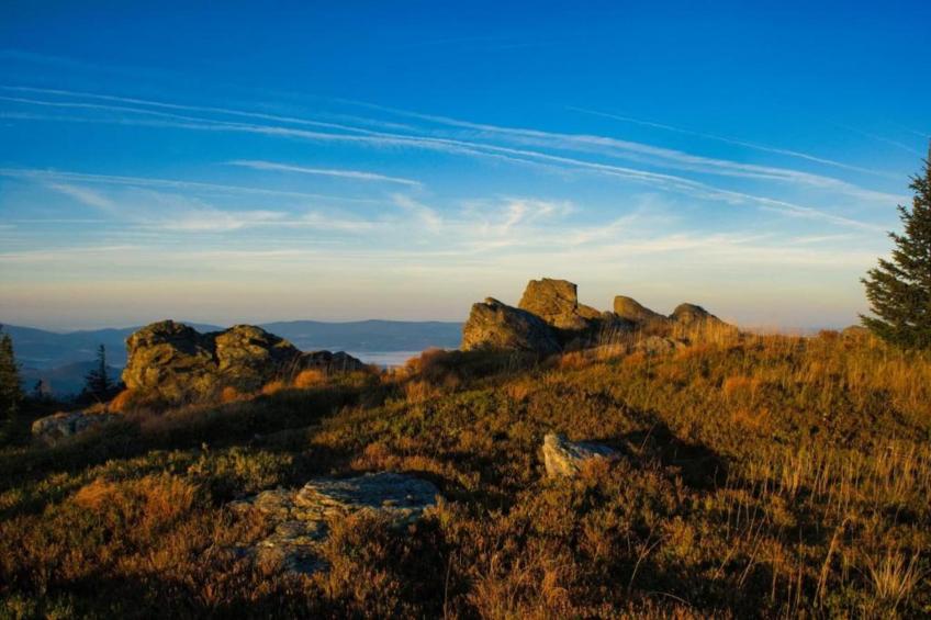 Vakantiepark Jägerwiesen - foto 17