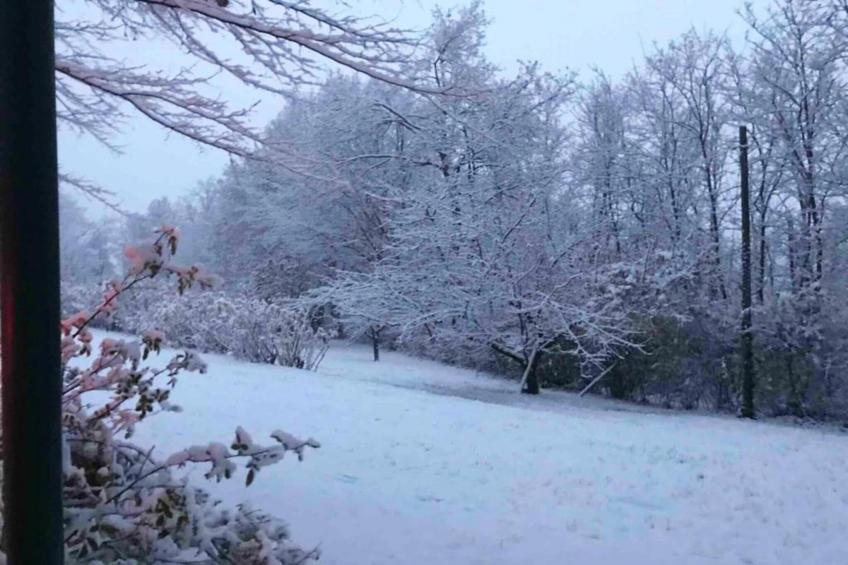 Villa Carpaneto - foto 34