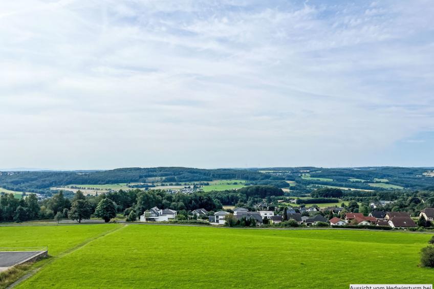 mit Grill in Bad Marienberg - foto 22