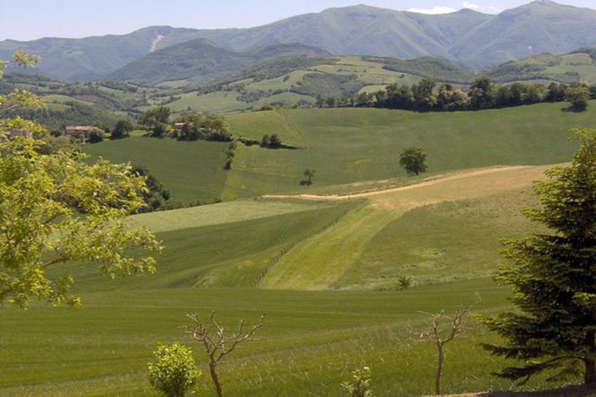 Piano Giardino - foto 22