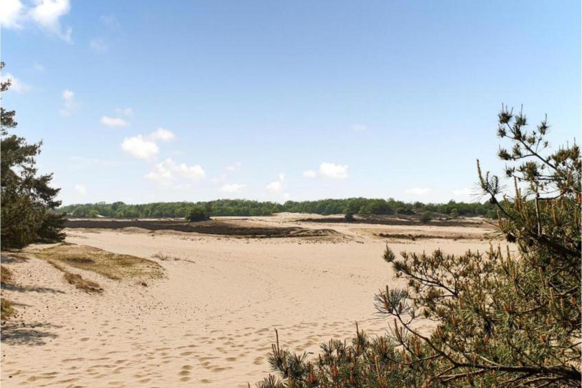 Recreatiepark Duinhoeve 9 - foto 28