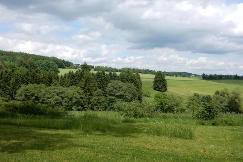 Ferienhaus Bremer - foto 29