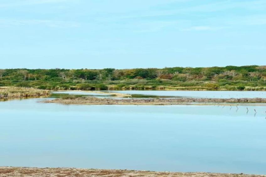 Village de Vacances Oignies 6 - foto 31