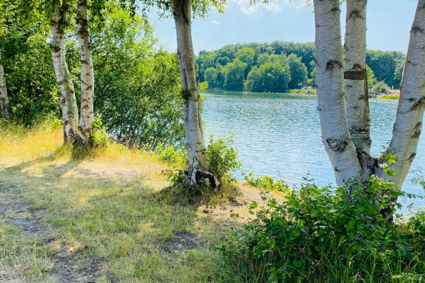 Bungalow Waldglück - foto 22