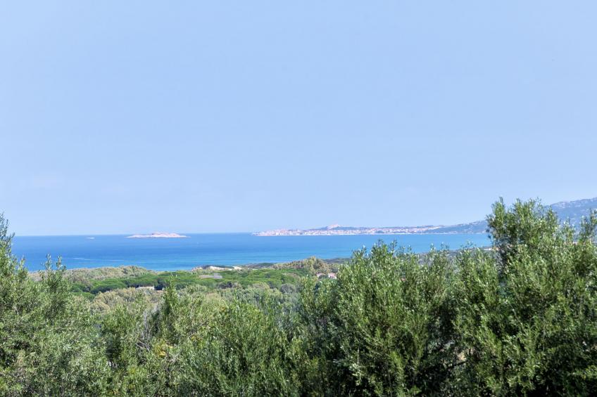 Posidonia - foto 40