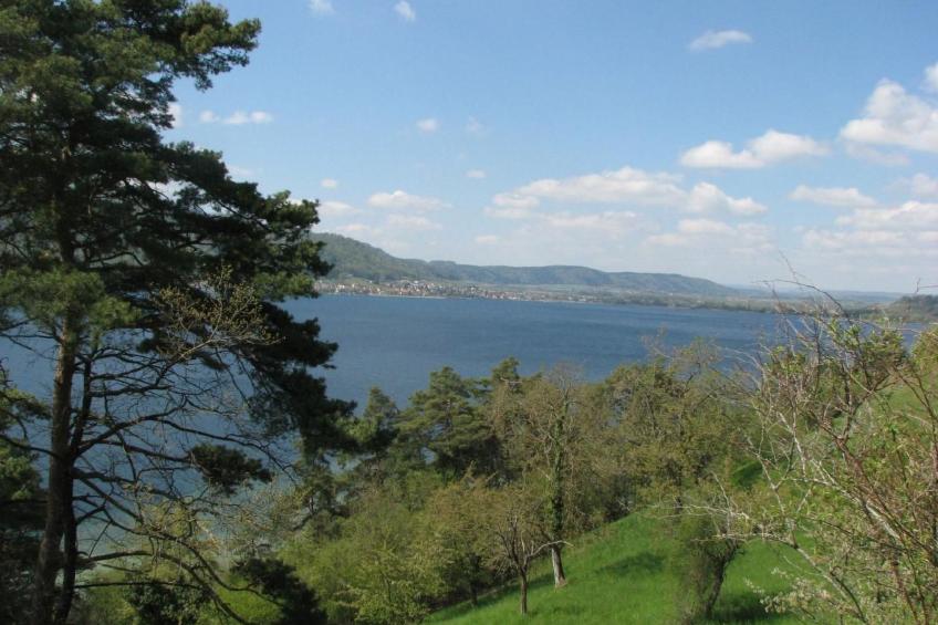 Idyllische Ferienwohnung in Sipplingen am Bodensee - foto 19