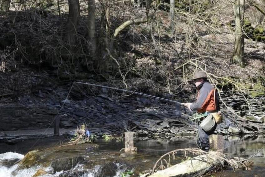mit Bergblick - foto 13