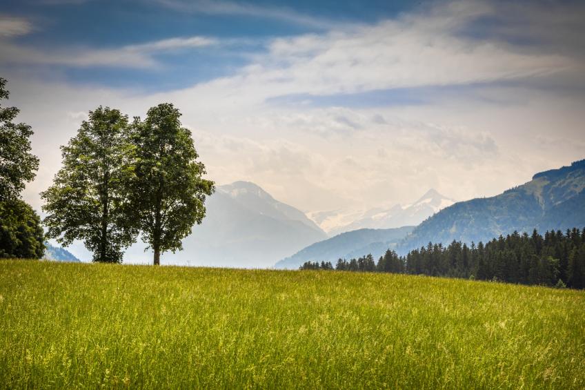 Hanserbauer - foto 29