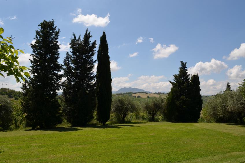 Villa degli Ulivi - foto 32