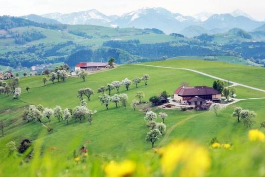 FEWO Gartenblick - foto 33