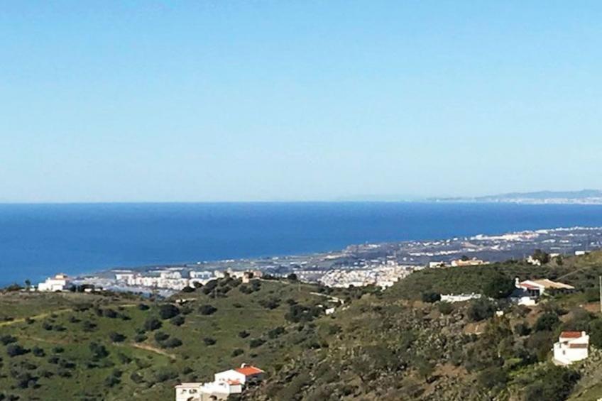 Casa Palmeras in Sayalonga mit Gepflegtem Garten - foto 3