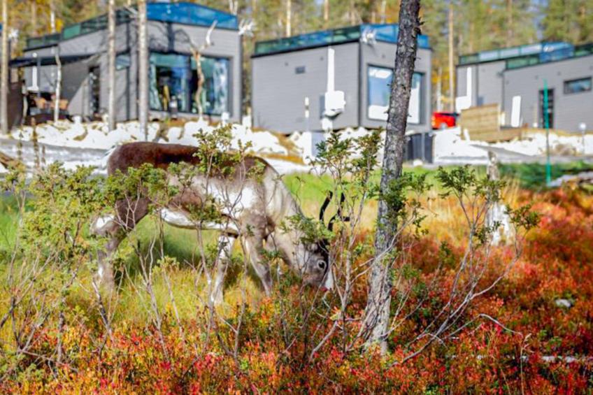 Levi secret igloo ruska 8d - foto 30