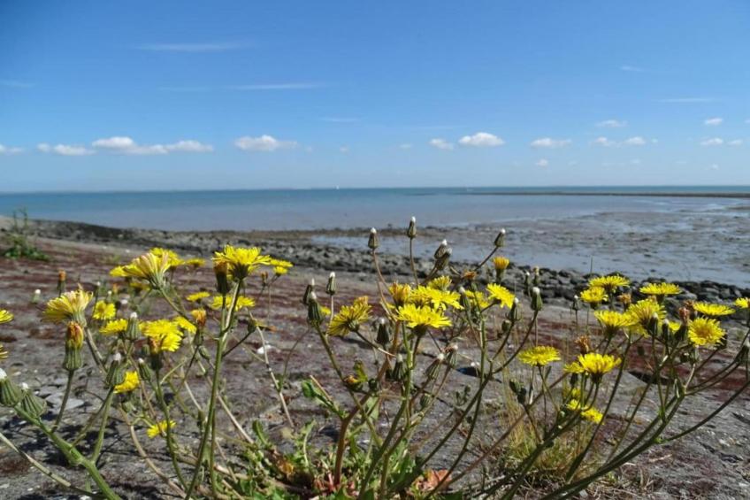 Heerlijkheid Vlietenburg 11 - foto 37