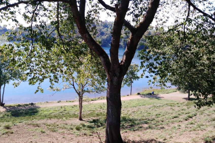 FeWo Sonnenblume - foto 30