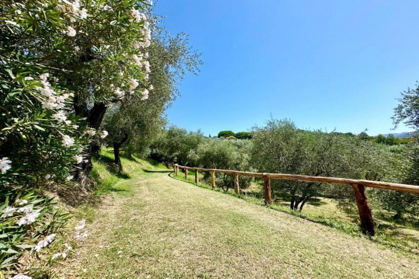 Gromoletta - foto 34