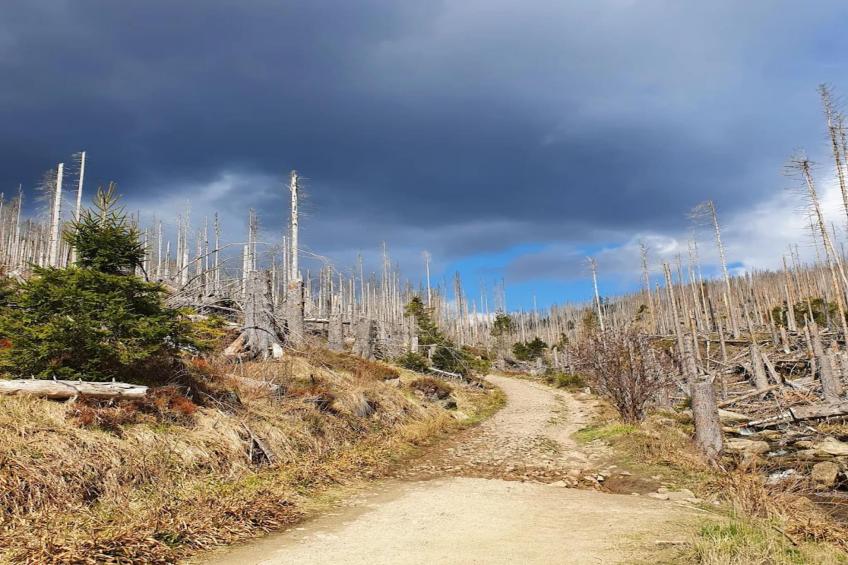 Hirsch best price  6 Pers|Hirsch best price , 6 Pers. - foto 29