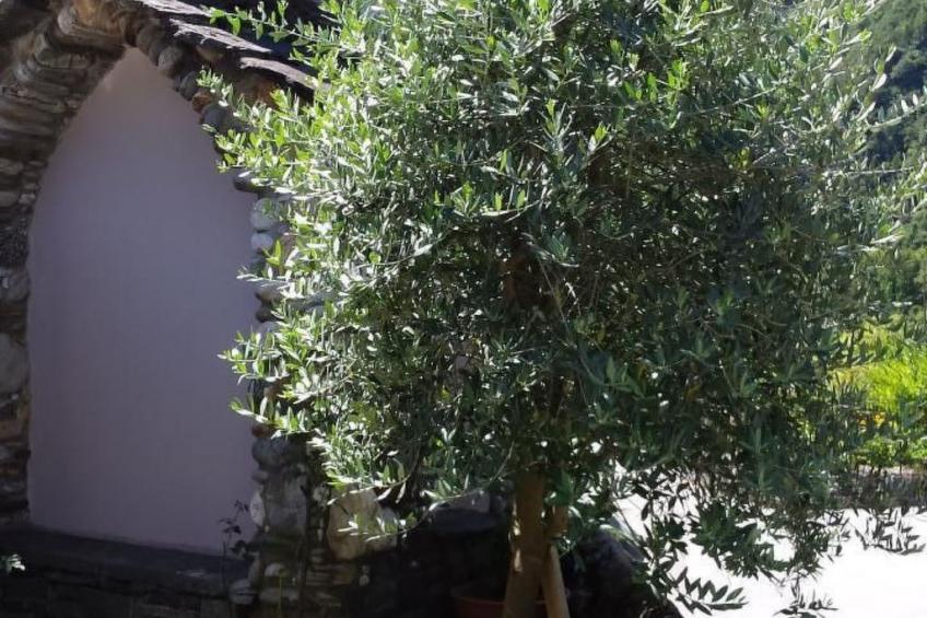 Haus San Cristoforo - Atelier - foto 39