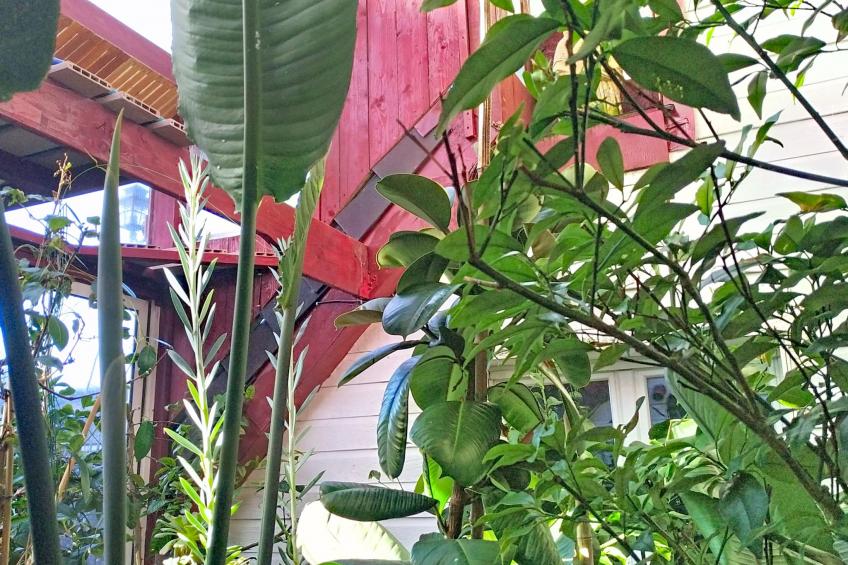 Le Paradis des Fleurs - foto 6