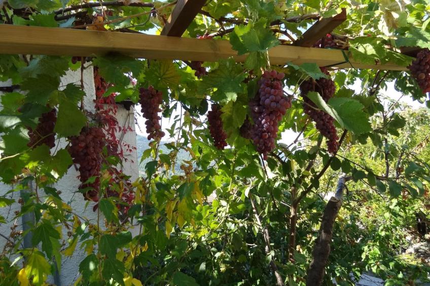 Villa Symeon - foto 21