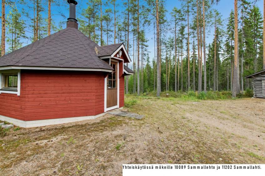 Sammallehto - foto 28